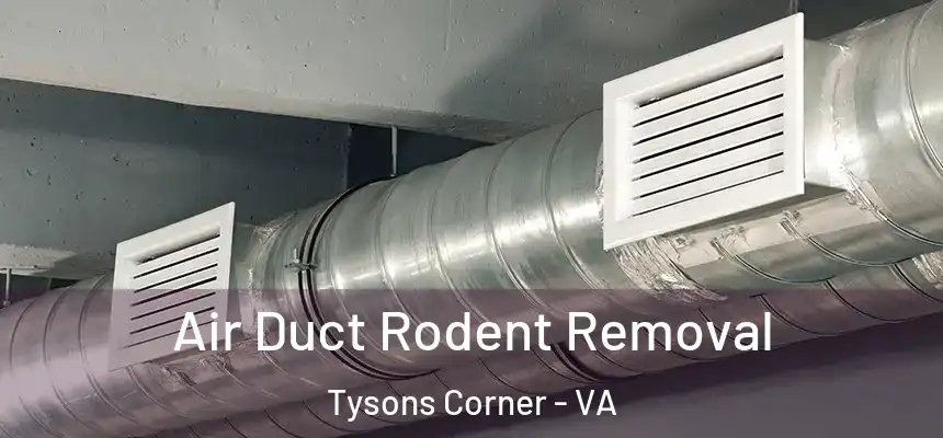 Air Duct Rodent Removal Tysons Corner - VA