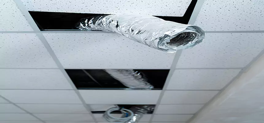 Affordable HVAC Sanitizing After Pest Removal in Tysons Corner