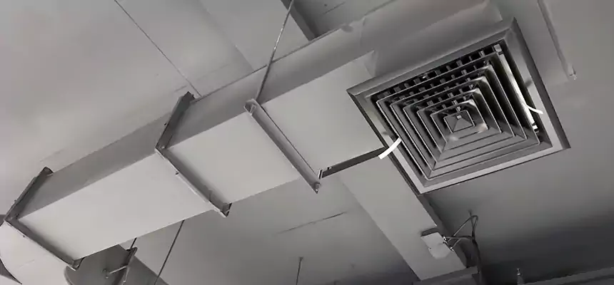 Restorative Allergy Relief Vent Cleaning – Coil, Blower & Housing Detail in Tysons Corner