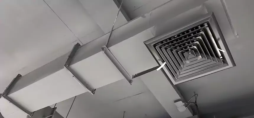 Our Pest Removal From Ducts Services in Tysons Corner, VA