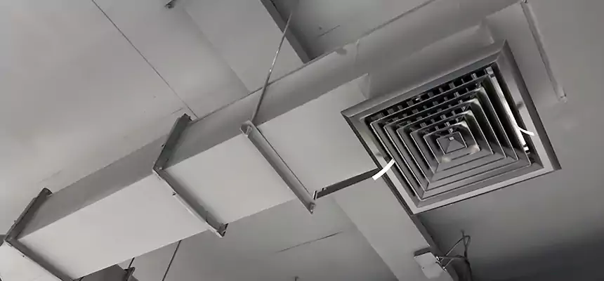 Our Rodent Droppings In Vents Services in Tysons Corner, VA