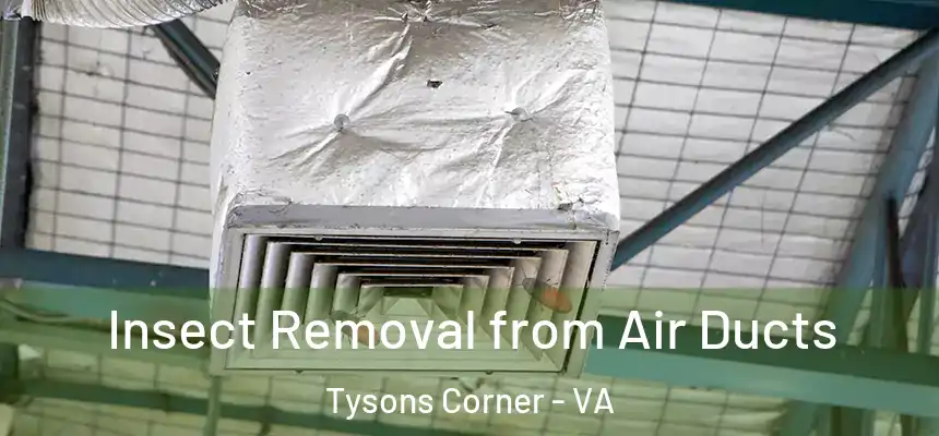  Insect Removal from Air Ducts Tysons Corner - VA