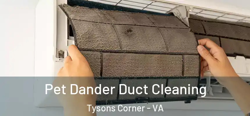  Pet Dander Duct Cleaning Tysons Corner - VA
