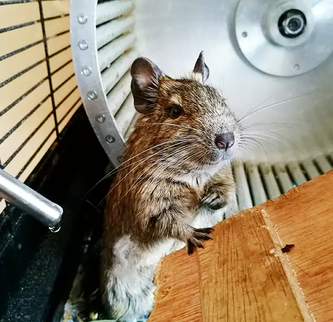 Why Homeowners & Businesses Trust Us Tysons Corner, VA?